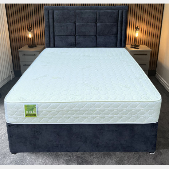 Aloe Vera Divan Bed