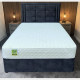 Aloe Vera Divan Bed